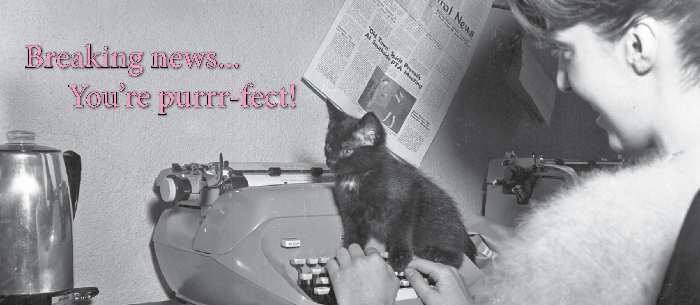 Black cat on a typewriter with student. 
